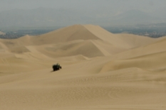 Dune-buggying